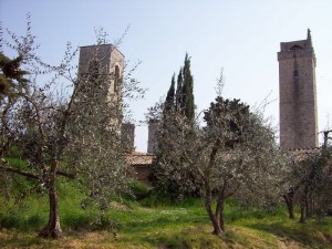 Veduta di alcune torri