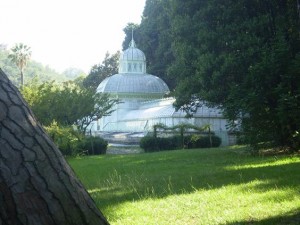 Particolare del parco