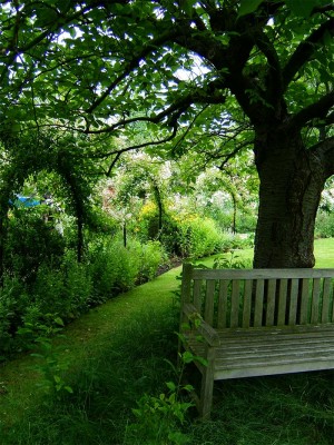 park-bench-pergola.jpg