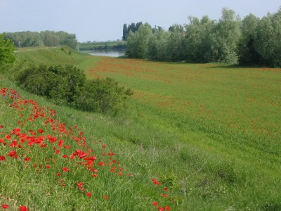 adige maggio 002 bis.jpg