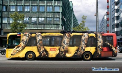 zoo-giant-snake-bus-1.jpeg