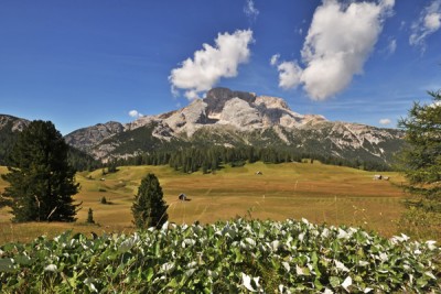 Parco Naturale Braies Senes Fanes Obettivo Terra .jpg