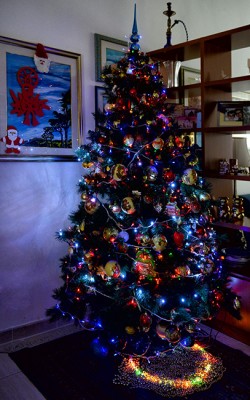 Albero Natale per Comuni Italiani.jpg