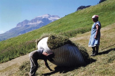 lavoro montagna.jpg