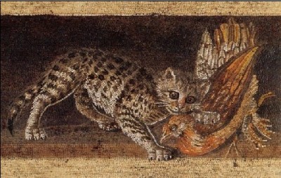 Gatto_e_Pernice-_MANN.jpg