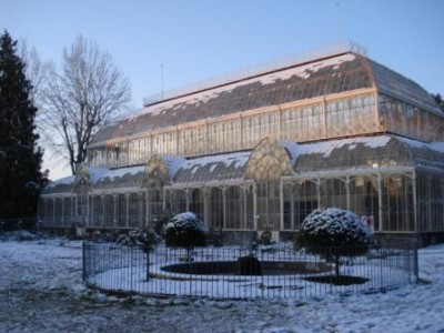 Neve Fi Dic 09 066.jpg