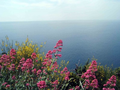 Da Manarola a Corniglia.jpg