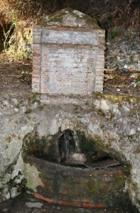 Fontana rustica