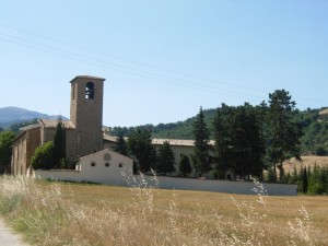 San Francesco tra il grano