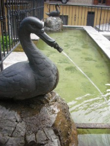 Fontana delle Papere
