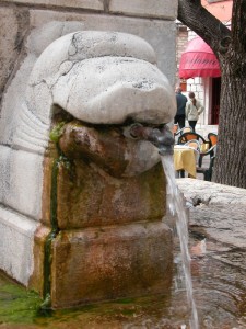 Particolare della fontana della piazza