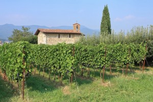 S.Pietro delle Passere