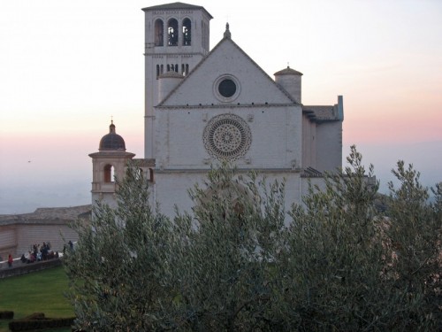 Assisi - Tra gli ulivi