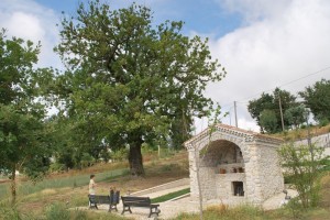 bimbo in preghiera al pozzo miracoloso della Madonna del bagno