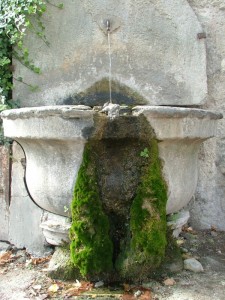 Fontana nel “Castello di Susa”