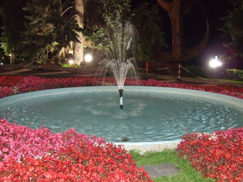 Saint-Vincent - la fontana con i fiori di Saint-Vincet di notte