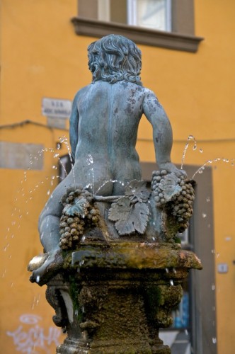 Prato - La Fontana del Bacchino
