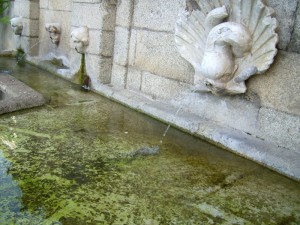 Fontana del commercio