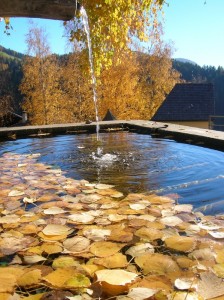 splendore d’autunno nella fontana