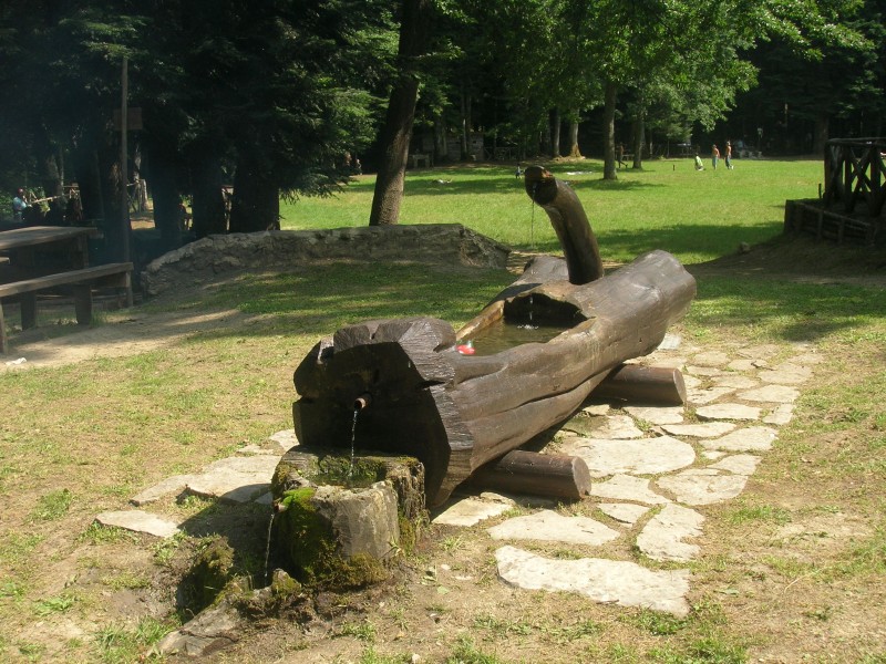 ''fontana scavata nel tronco Riserva di Collemeluccio'' - Carovilli