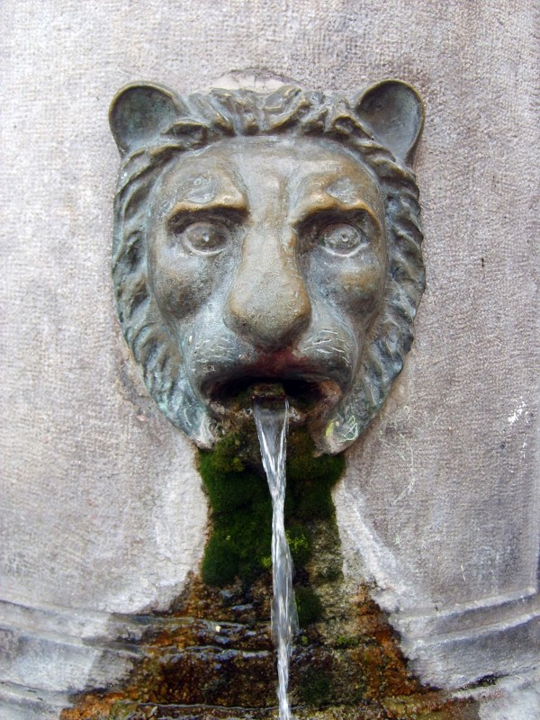 ''Particolare della fontana di Capua'' - Capua