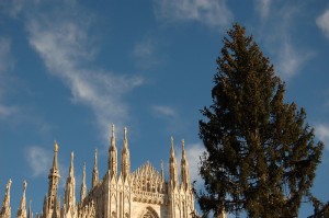 il Duomo e l’albero