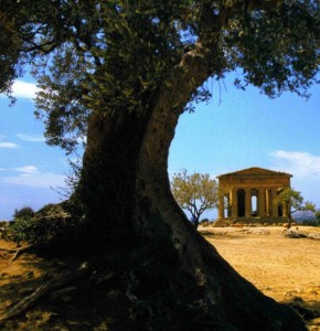 Tempio della Concordia