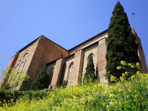 Basilica di San Domenico, Siena, Veduta dal basso verso l’alto