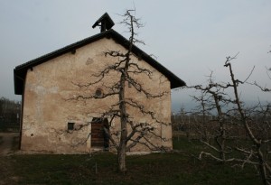 Santi Bartolomeo e Tommaso