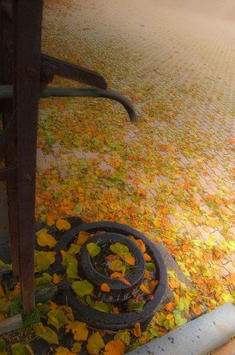 Milo - La fontana di Fornazzo Milo - La fontana di Fornazzo