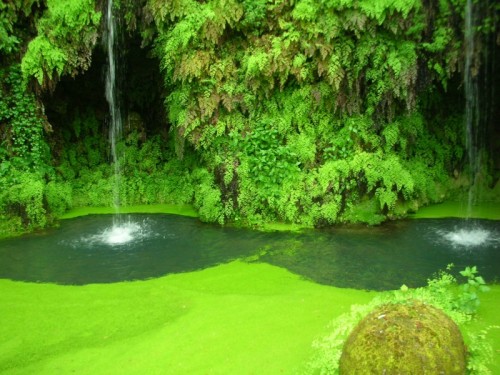 Viterbo - Particolare della Fontana del diluvio (o Monte della pioggia) Viterbo - Particolare della Fontana del diluvio (o Monte della pioggia)