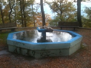 fontana dei pesci rossi