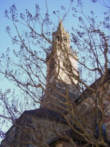 duomo di bolzano tra gli alberi