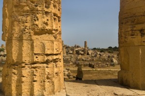 Quel che rimane ………..