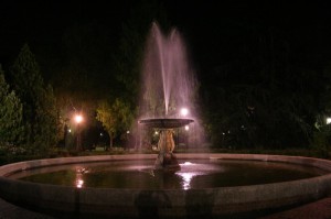 Il parco di notte