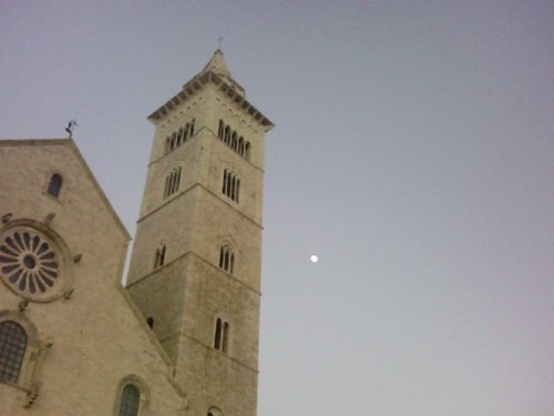 Trani - Cattedrale