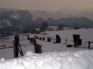 Nevicata a Campofontana