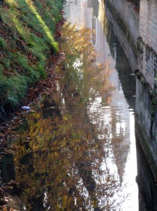 riflessi d’autunno