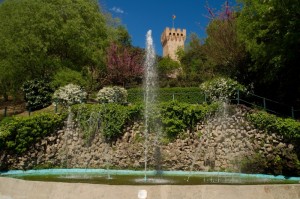 Fontana del castello Carrarese