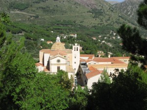 Immersa fra i boschi….