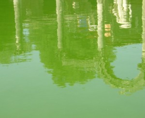 Riflessi a Villa Adriana, il Canopo