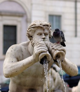 Piazza Navona, particolare della fontana con pennuto annesso