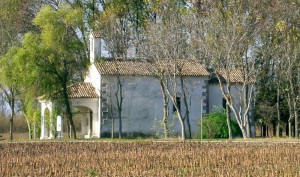 Tra campi di grano