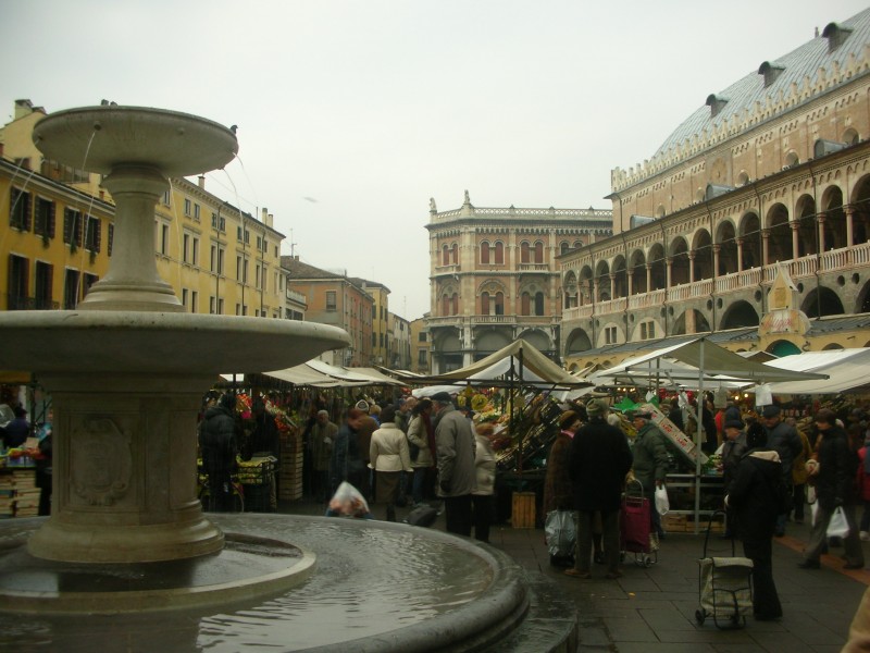 ''Fontana di piazza delle Erbe'' - Padova