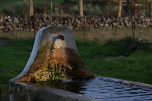 Fonte della memoria, dall’acqua purissima