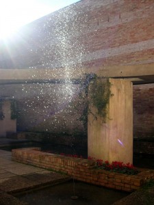 Acqua fredda al padiglione Scarpa. Biennale di Venezia.