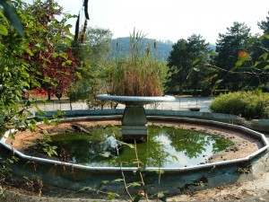 La fontana abbandonata di Consonno