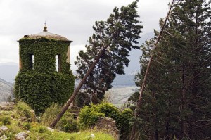 La natura sulla fede