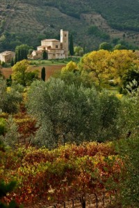 Nella Via Francigena….Sant’Antimo