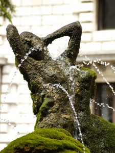 la “bella” fontana
